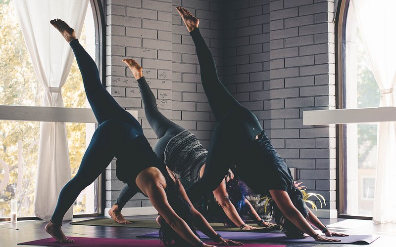 Flow Yoga and Wellness Studio