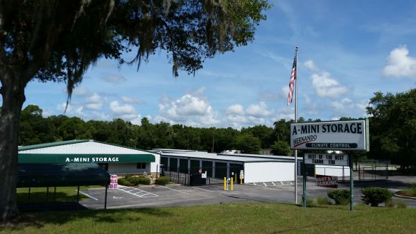 Affordable Secure Storage - Hernando