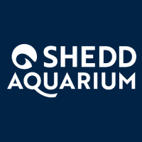 Shedd Aquarium