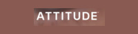 ATTITUDE