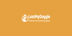 LostMyDoggie